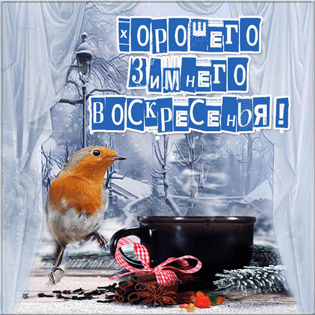 Хостинг картинок yapx.ru