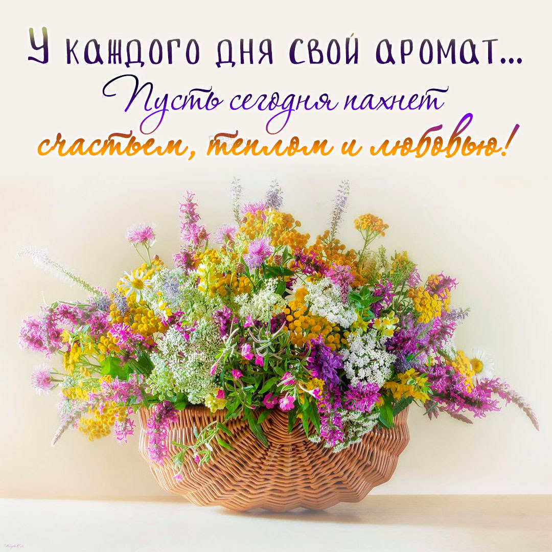 Хостинг картинок yapx.ru