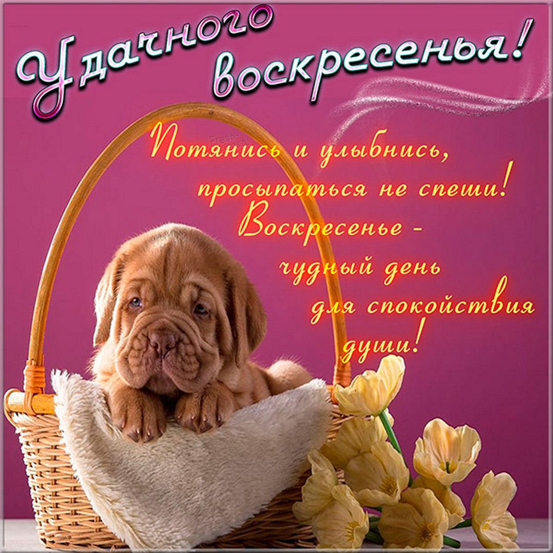 Хостинг картинок yapx.ru