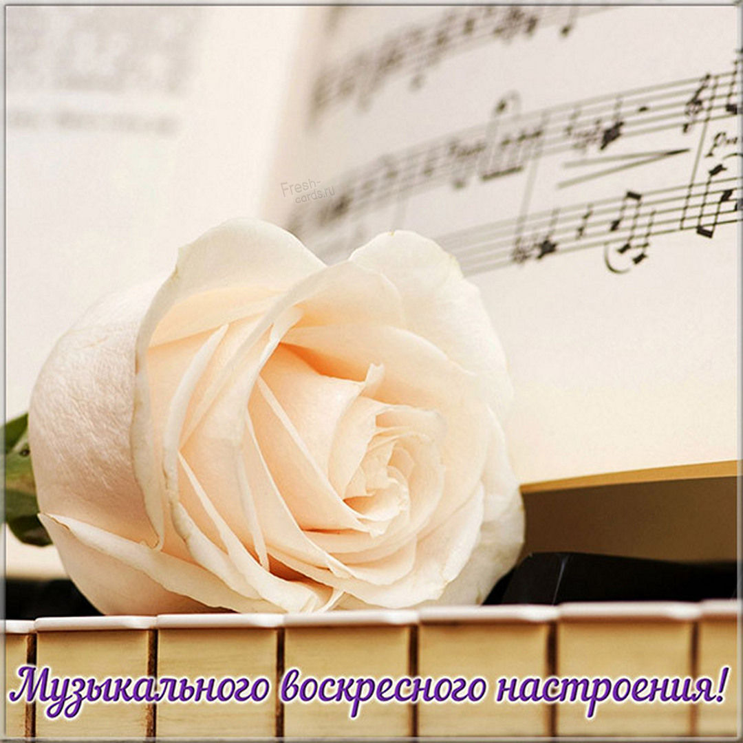 Хостинг картинок yapx.ru