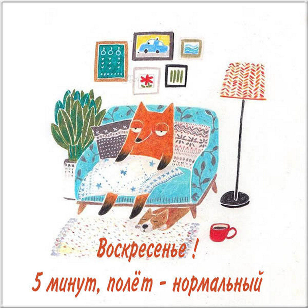 Хостинг картинок yapx.ru