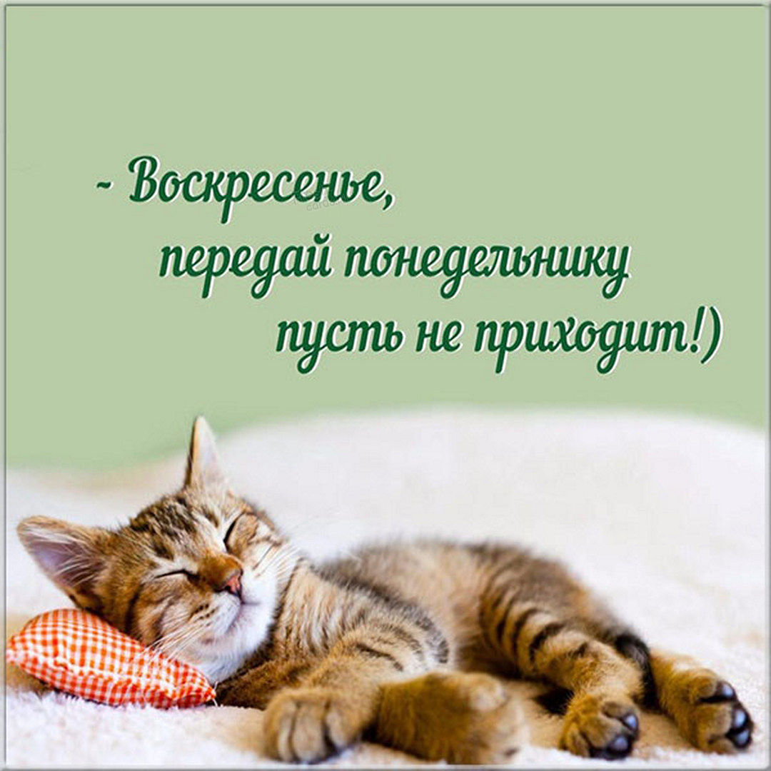 Хостинг картинок yapx.ru