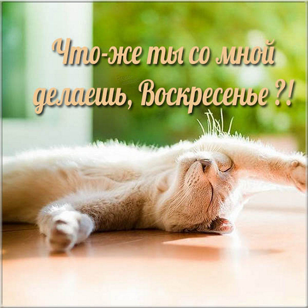 Хостинг картинок yapx.ru