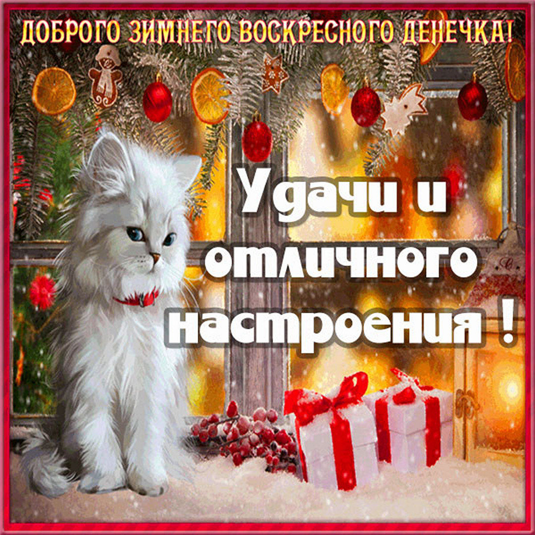 Хостинг картинок yapx.ru