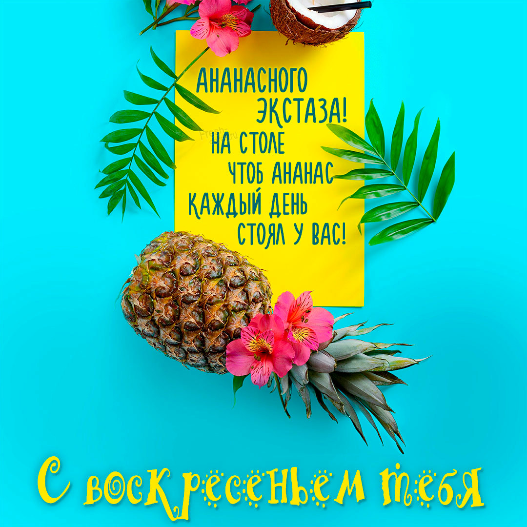 Хостинг картинок yapx.ru