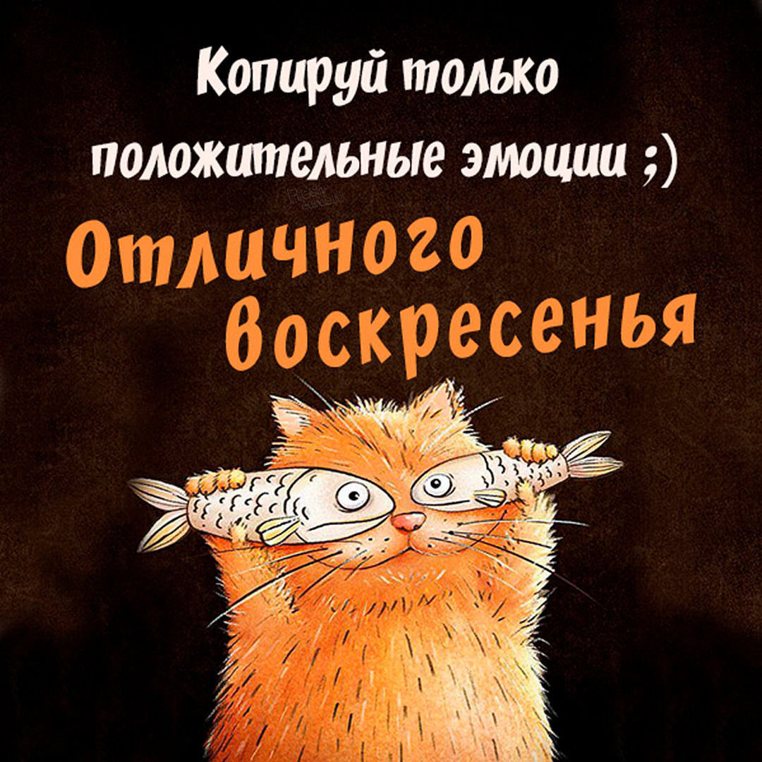 Хостинг картинок yapx.ru