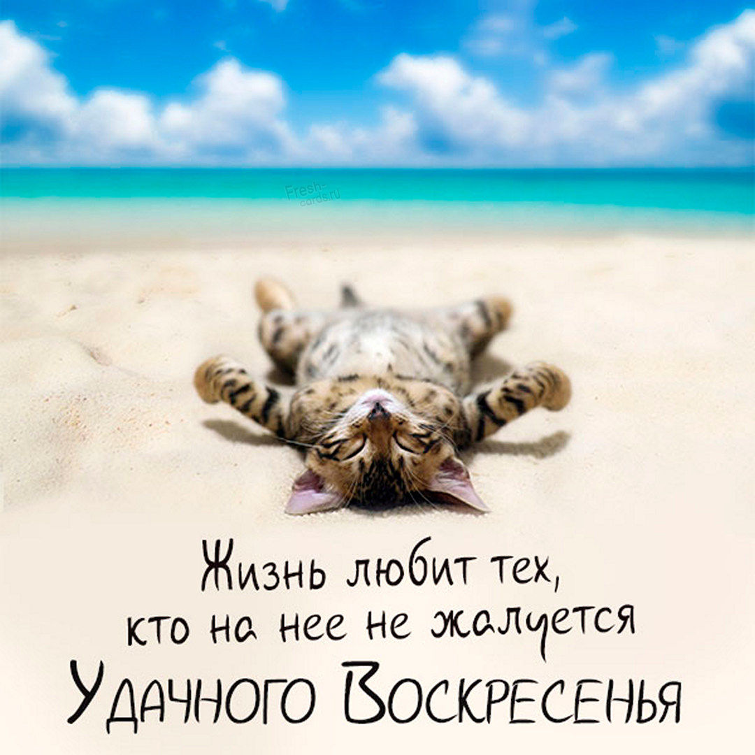 Хостинг картинок yapx.ru