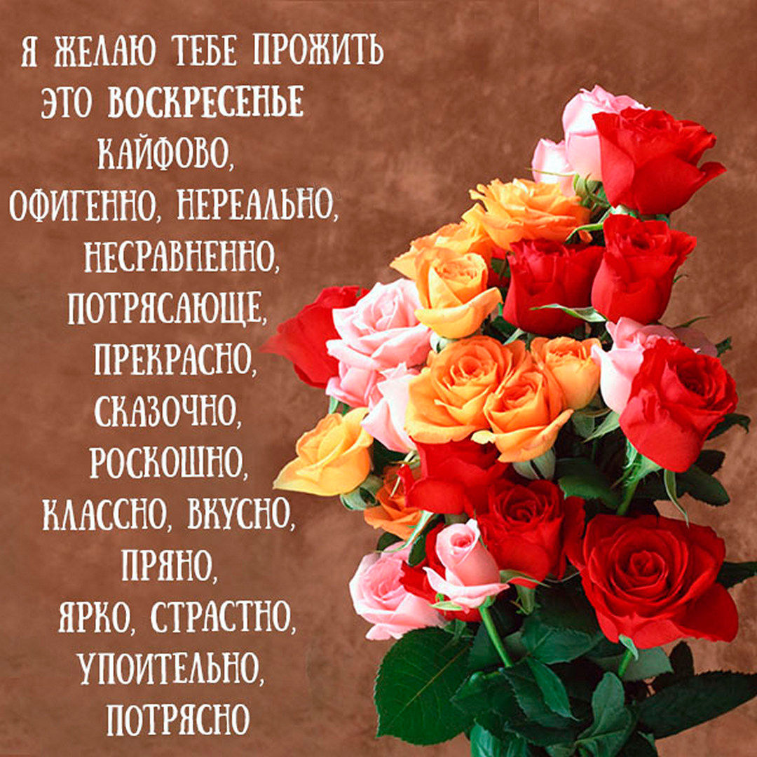 Хостинг картинок yapx.ru