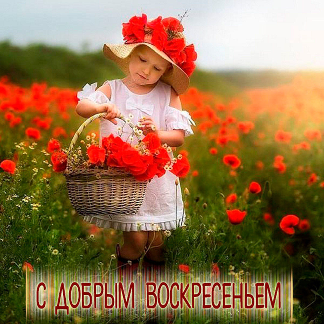 Хостинг картинок yapx.ru