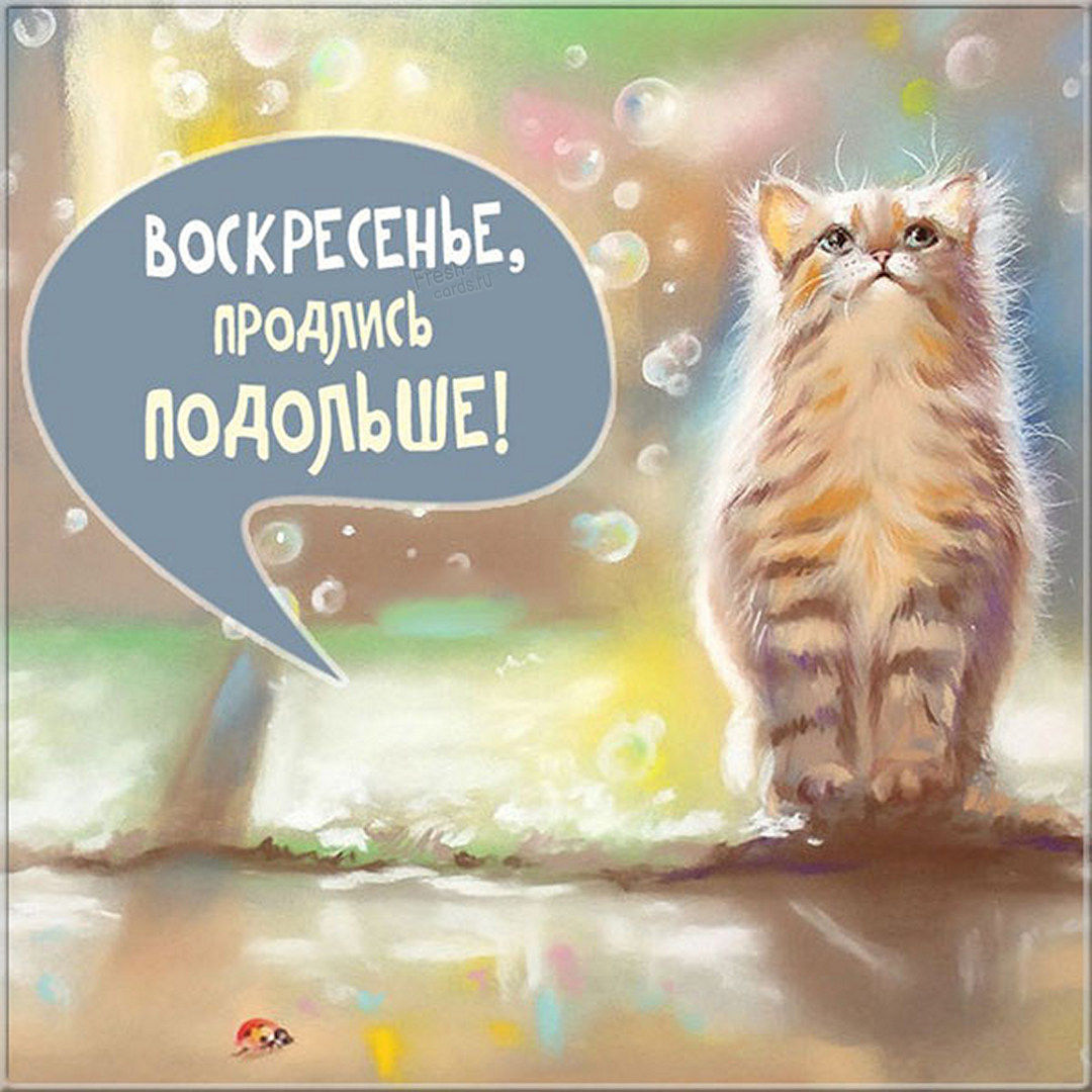 Хостинг картинок yapx.ru