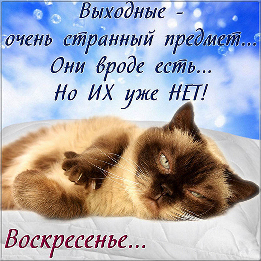 Хостинг картинок yapx.ru