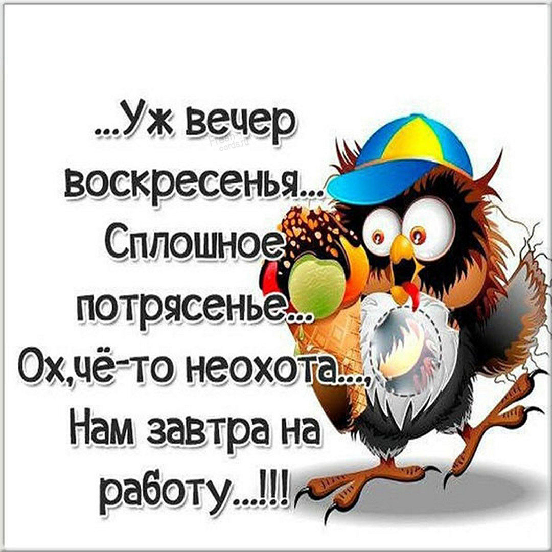 Хостинг картинок yapx.ru