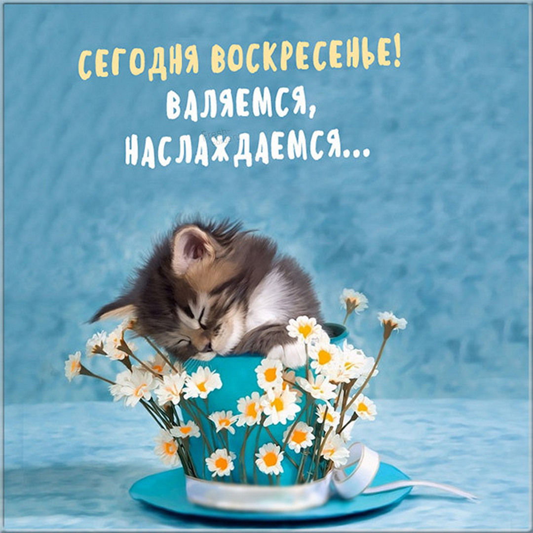 Хостинг картинок yapx.ru