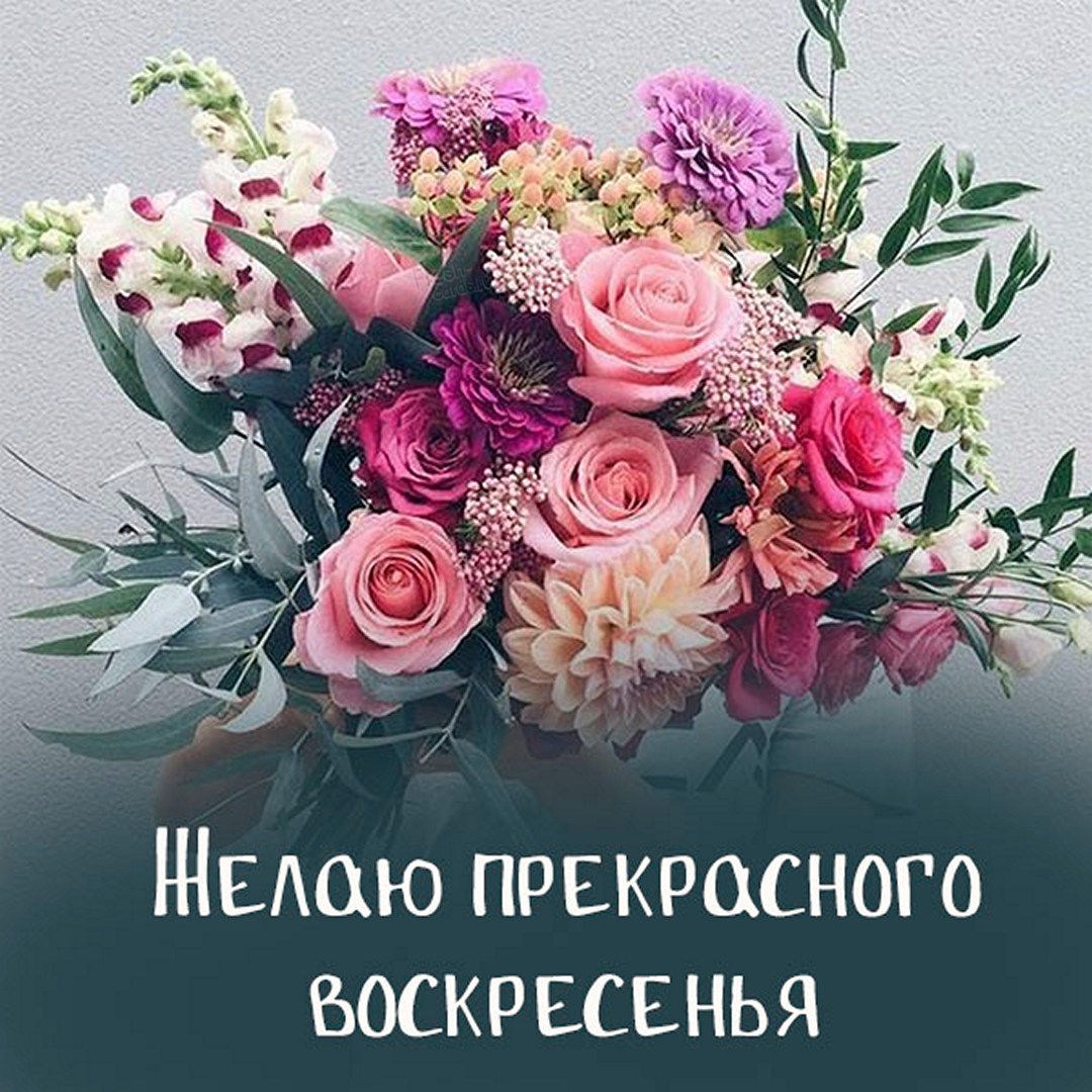 Хостинг картинок yapx.ru