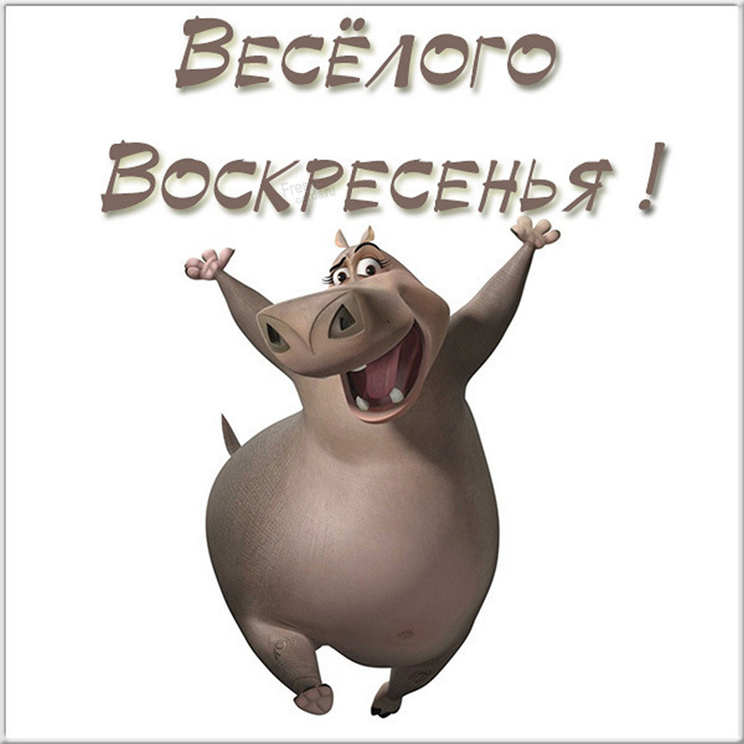 Хостинг картинок yapx.ru