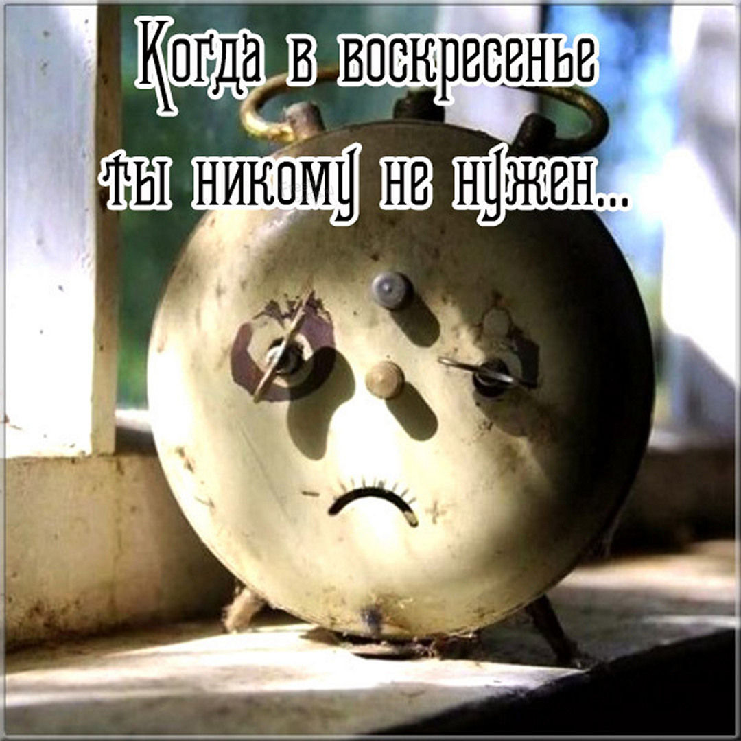 Хостинг картинок yapx.ru