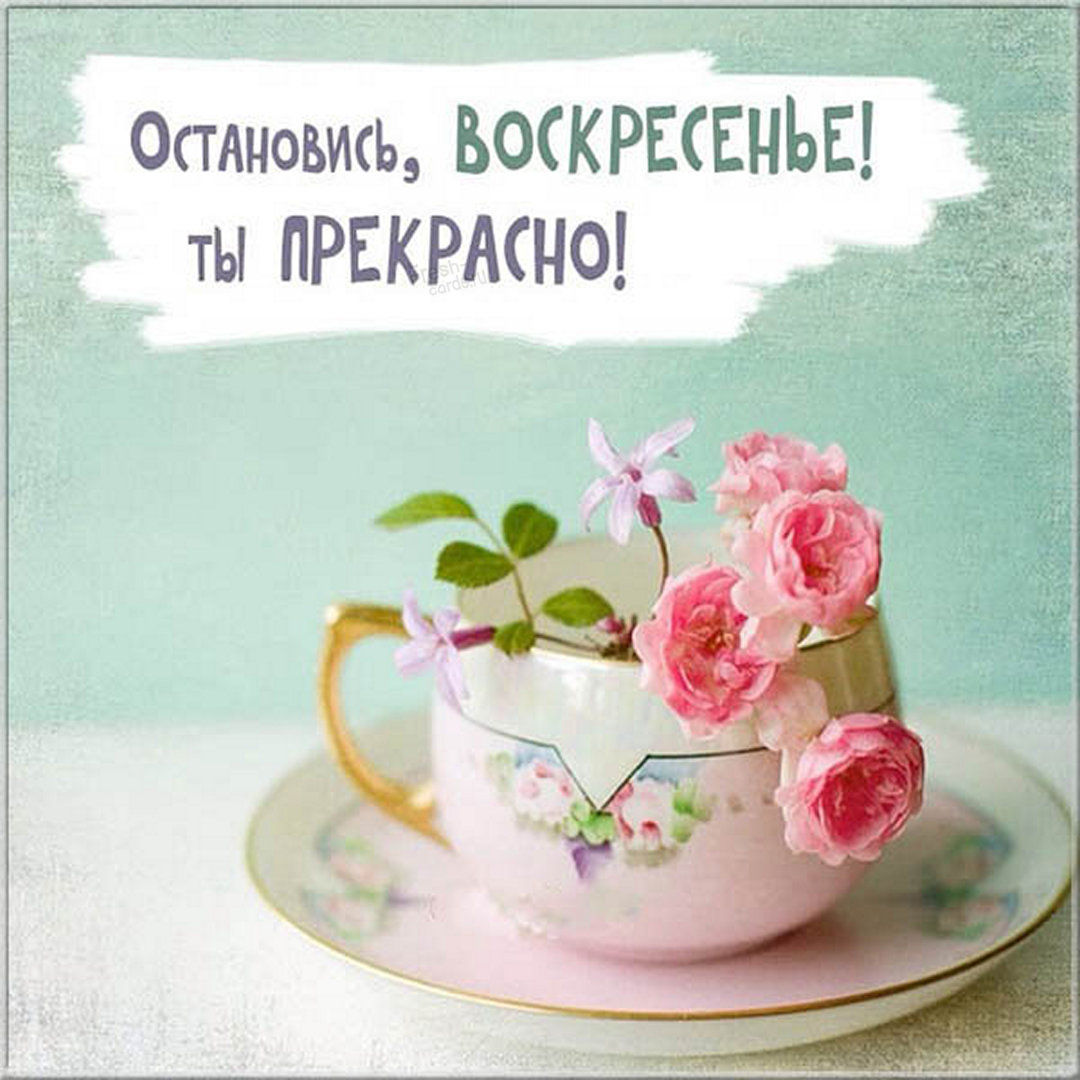 Хостинг картинок yapx.ru