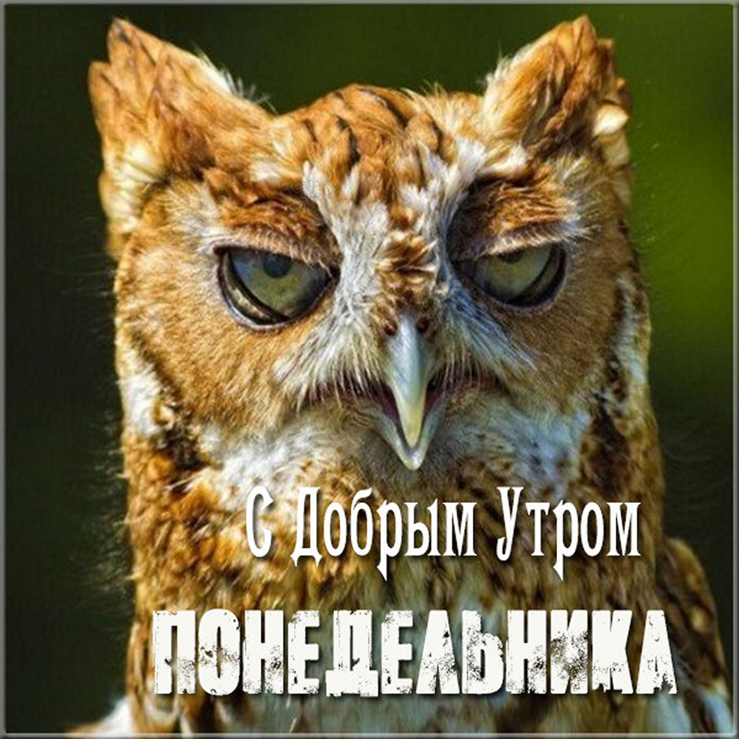 Хостинг картинок yapx.ru