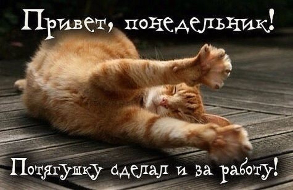 Хостинг картинок yapx.ru