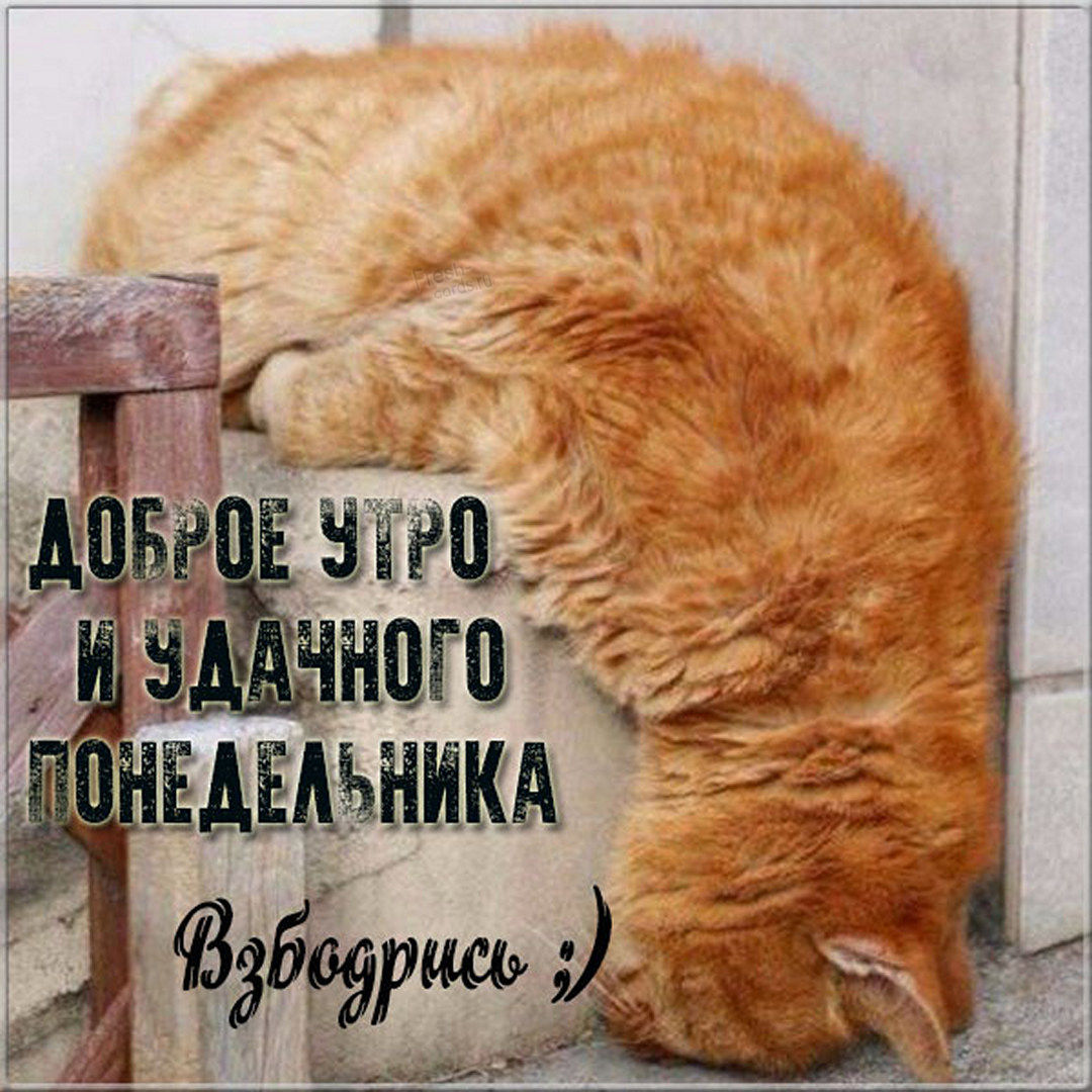 Хостинг картинок yapx.ru