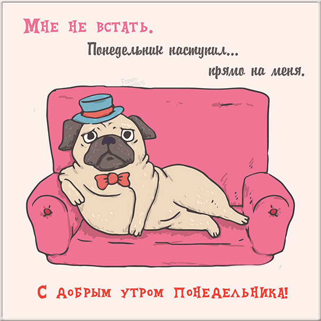 Хостинг картинок yapx.ru