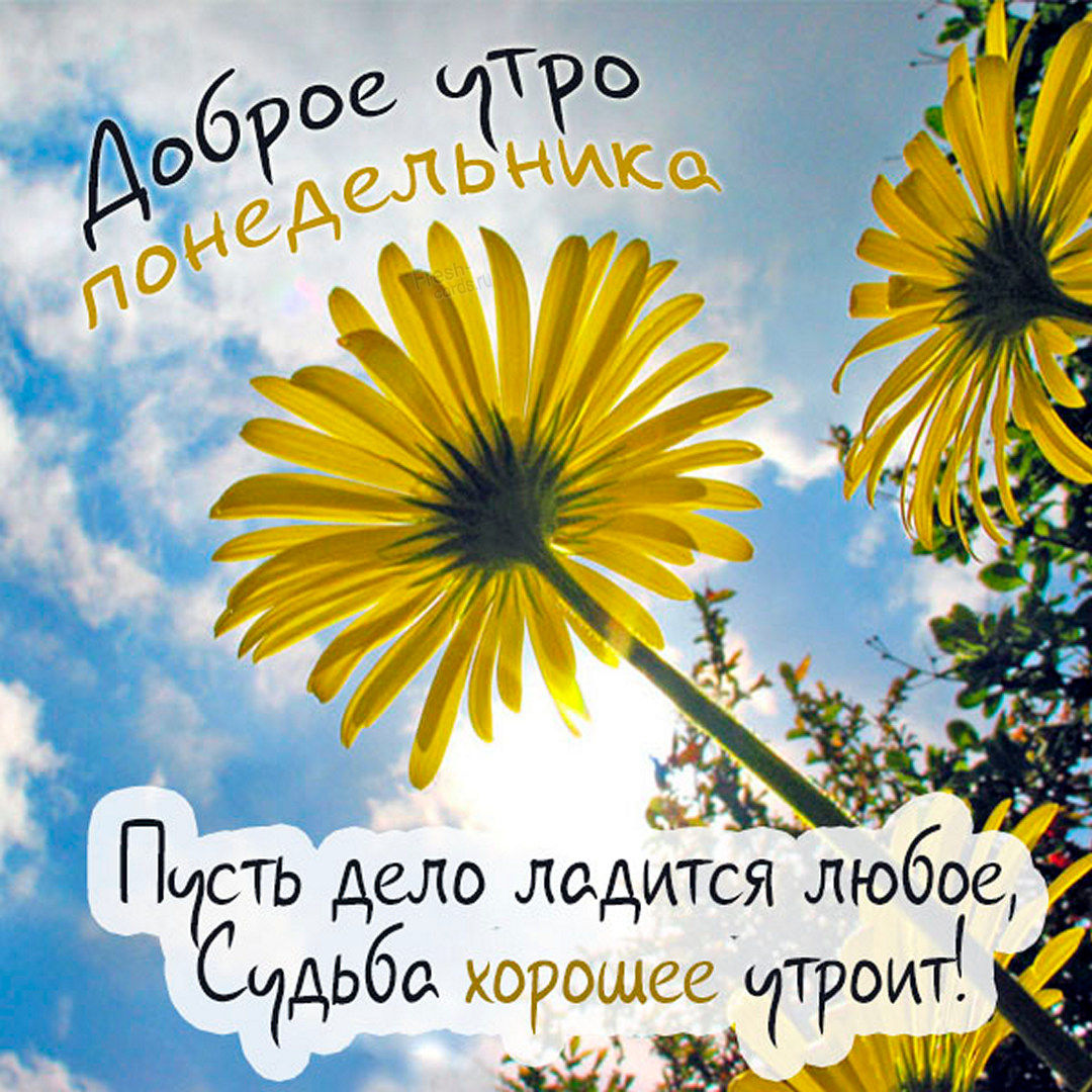 Хостинг картинок yapx.ru