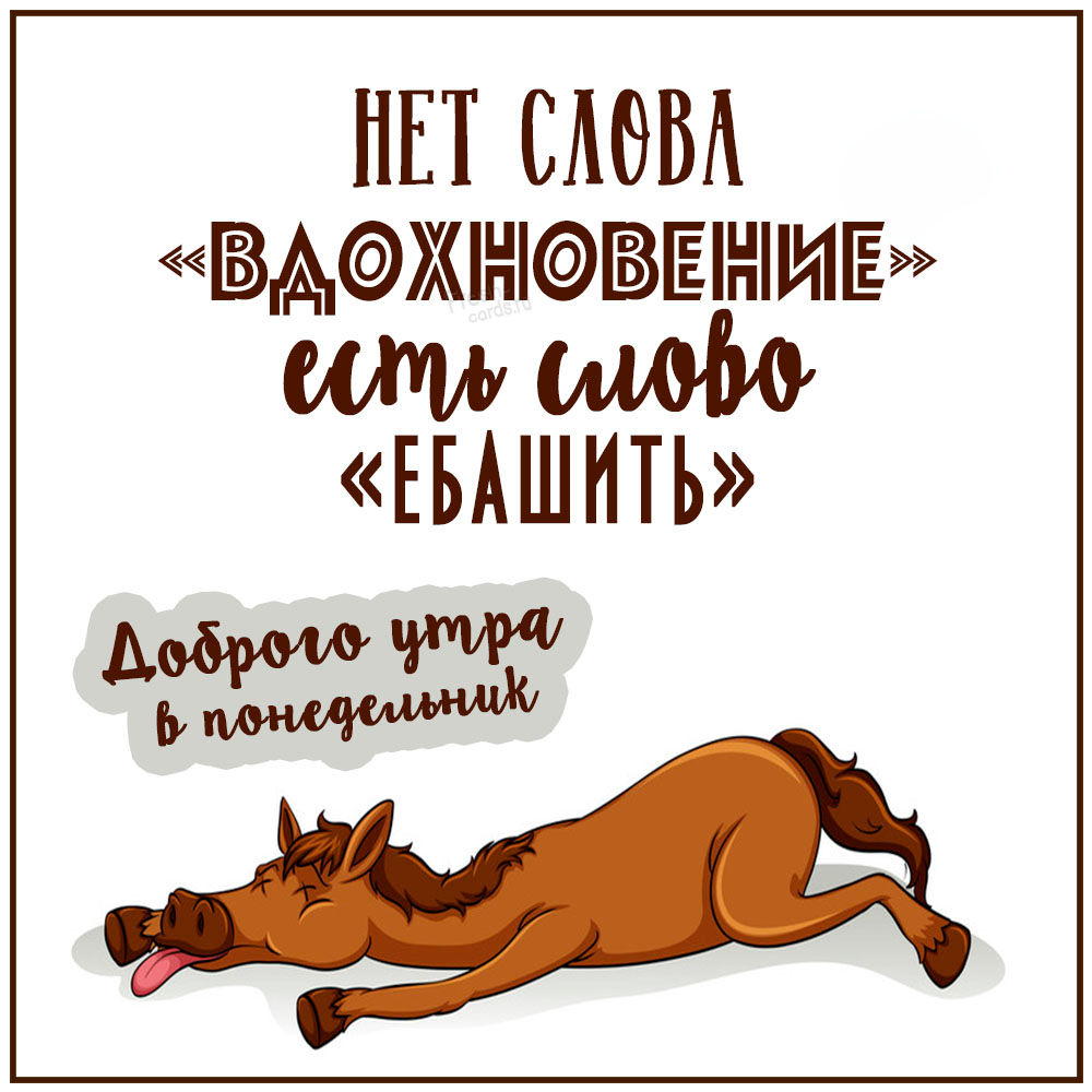 Хостинг картинок yapx.ru