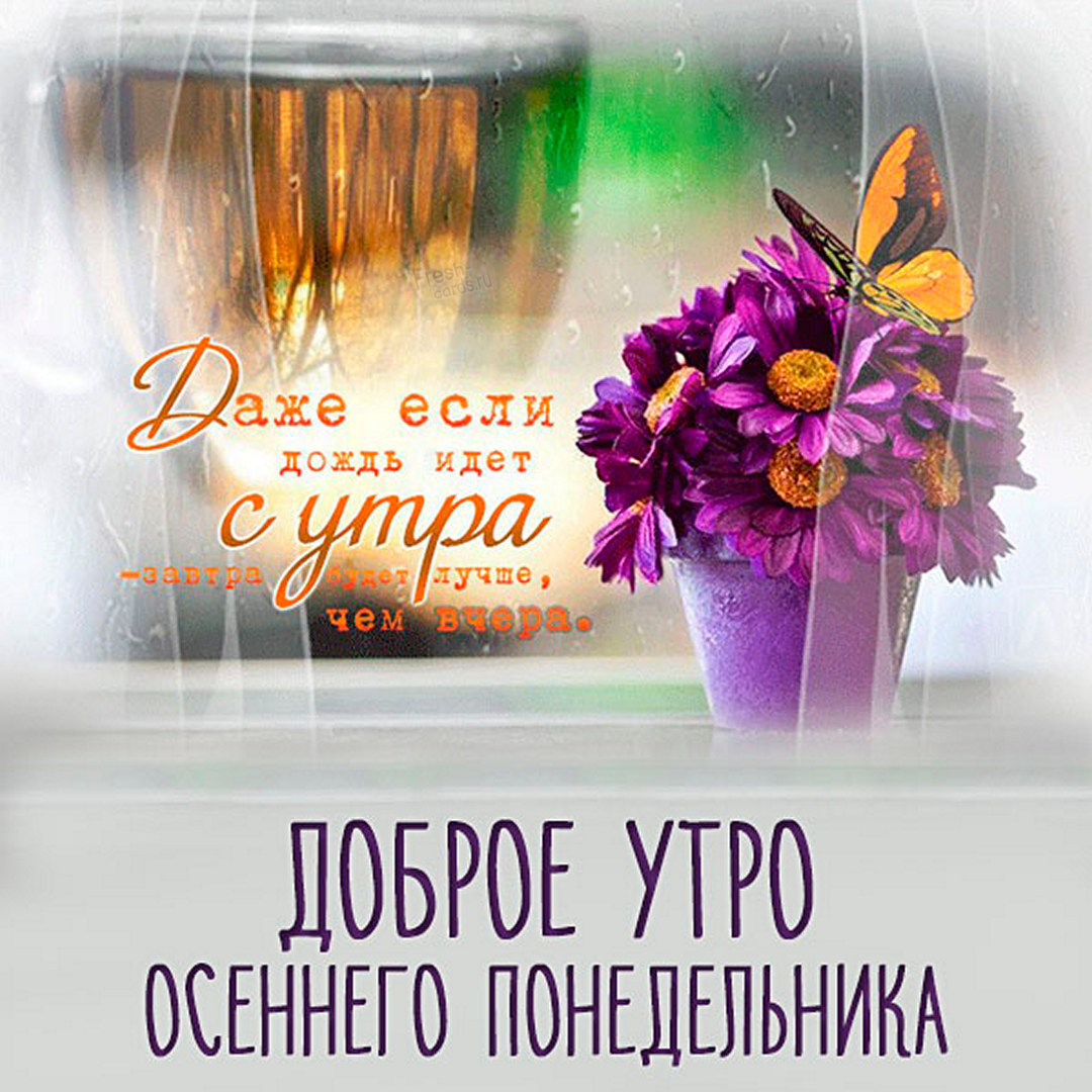 Хостинг картинок yapx.ru