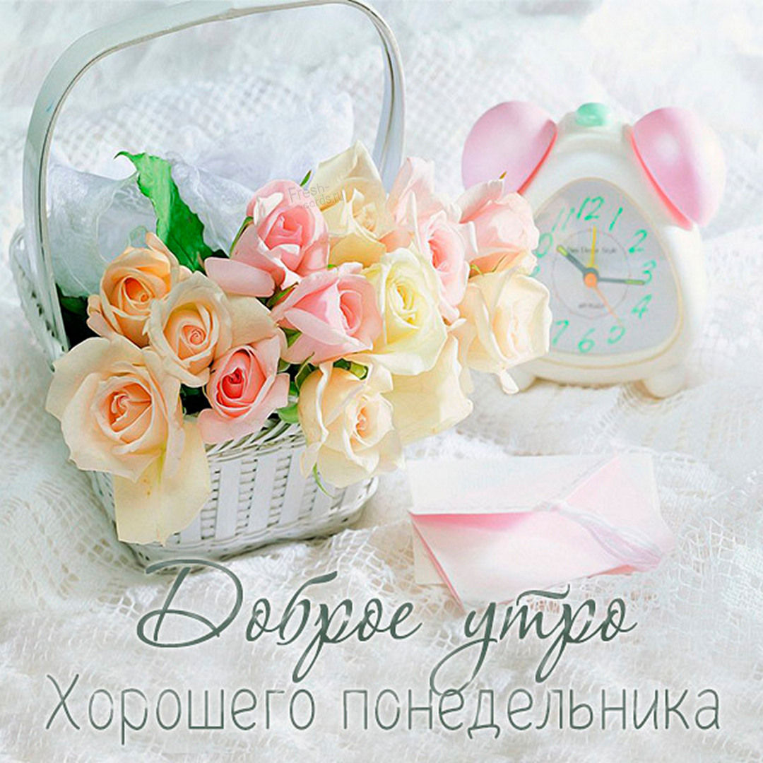 Хостинг картинок yapx.ru