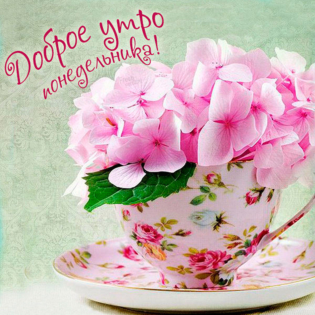 Хостинг картинок yapx.ru