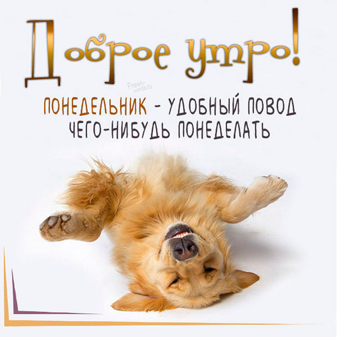 Хостинг картинок yapx.ru