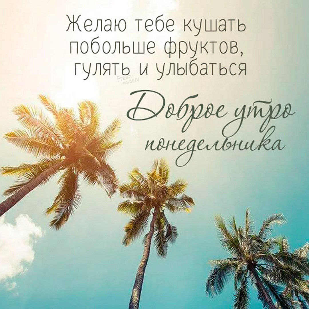 Хостинг картинок yapx.ru