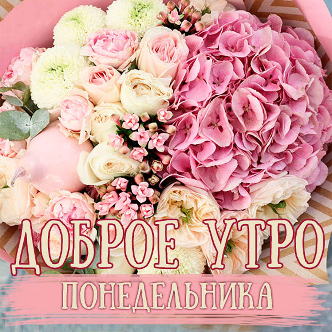 Хостинг картинок yapx.ru