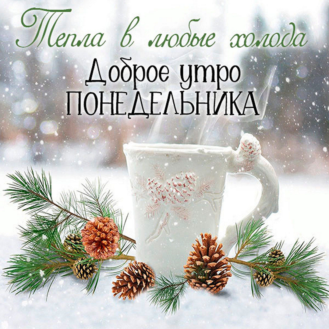 Хостинг картинок yapx.ru