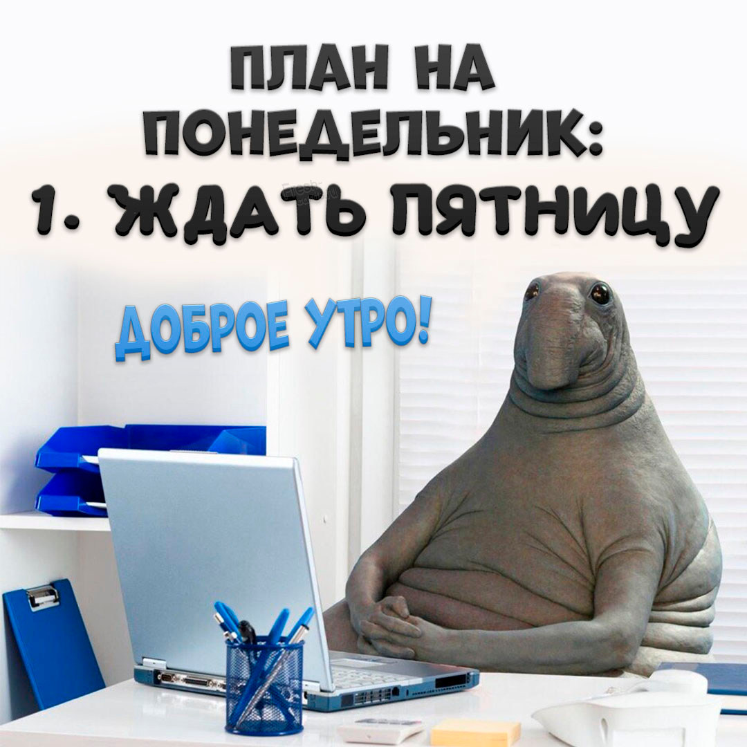 Смешная картинка с пожеланием доброго утра понедельника! Хостинг картинок yapx.ruСмешная картинка с пожеланием доброго утра понедельника!