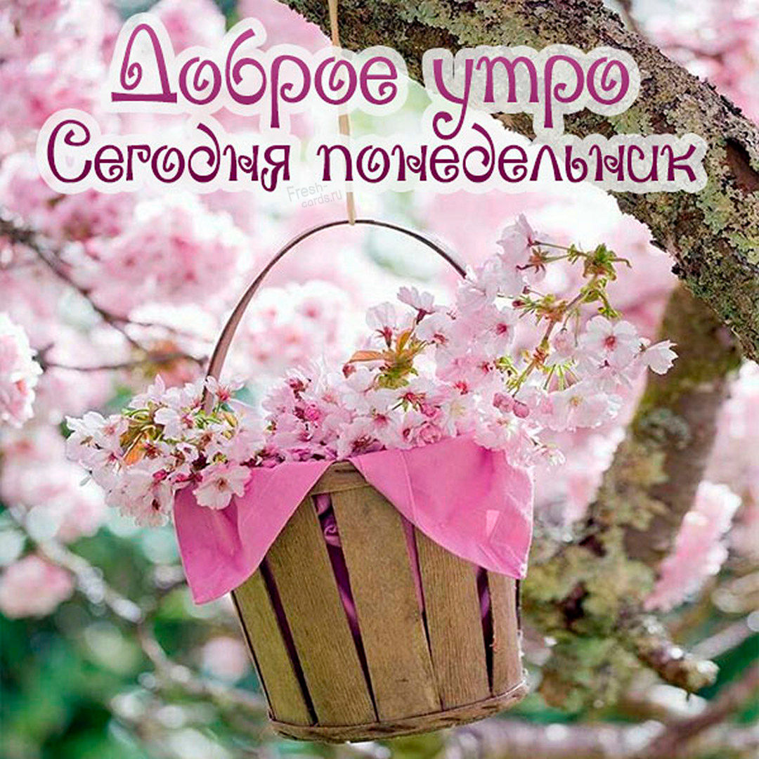 Хостинг картинок yapx.ru