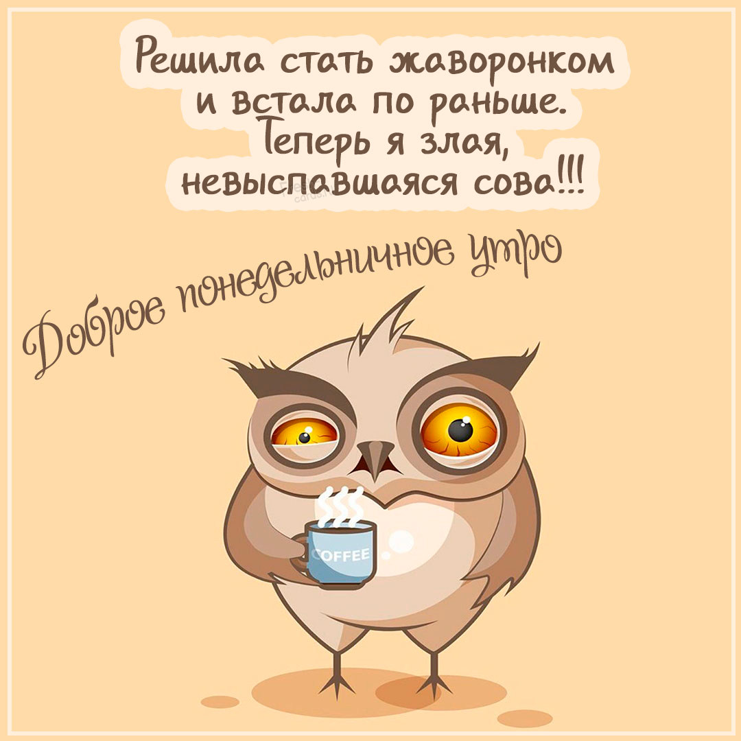 Хостинг картинок yapx.ru