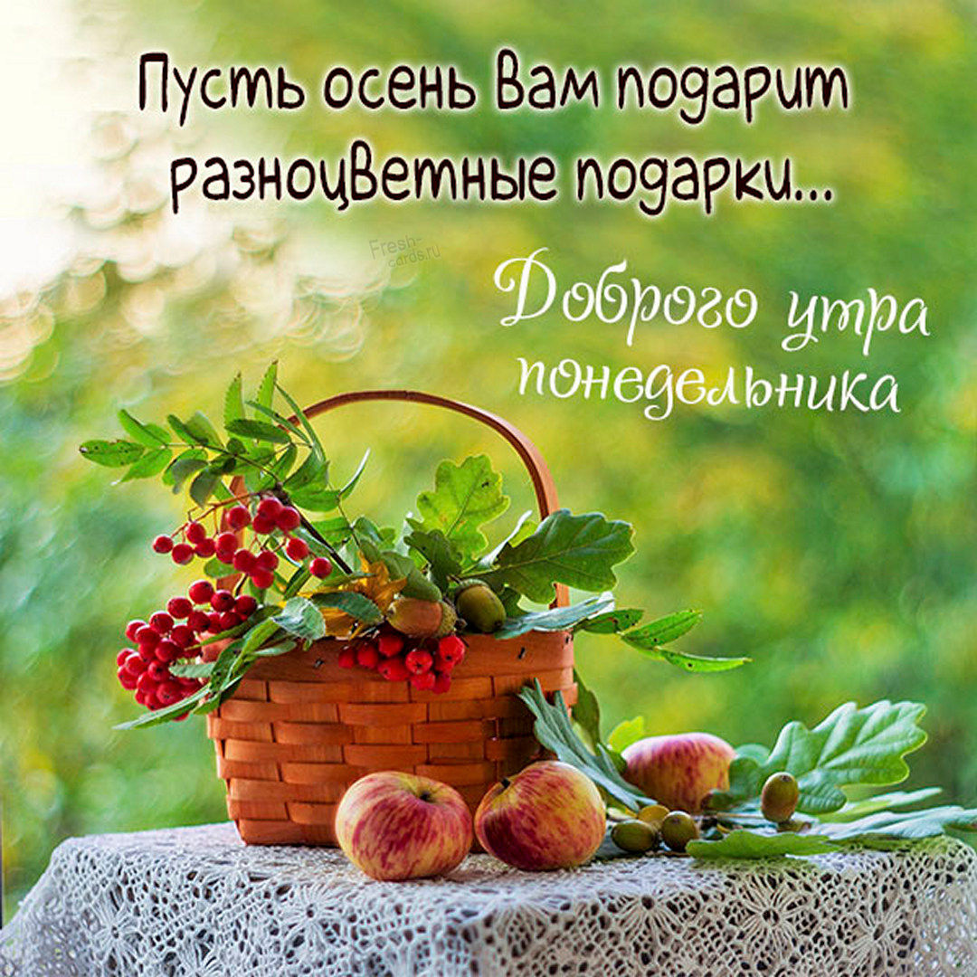 Хостинг картинок yapx.ru