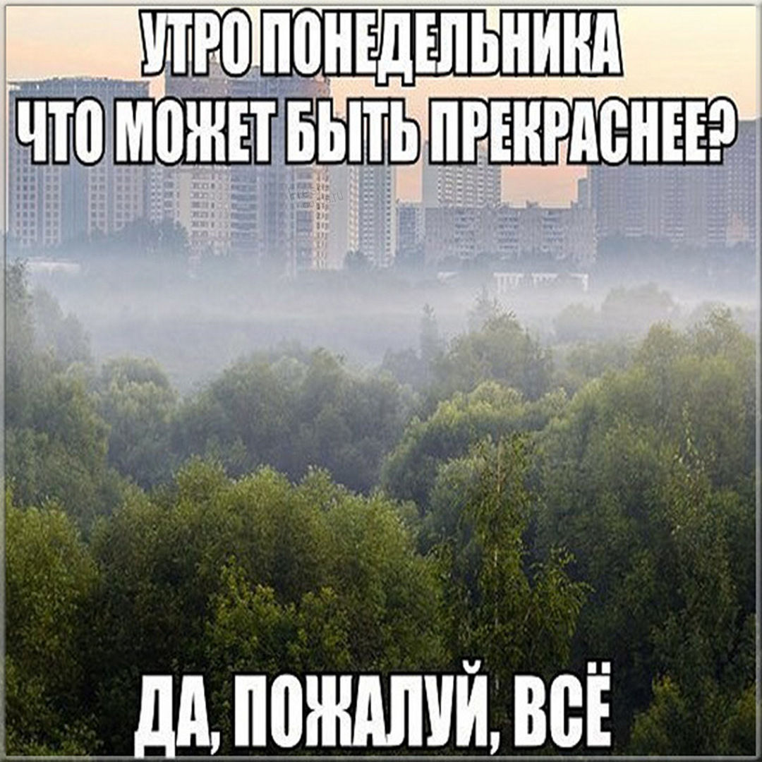 Хостинг картинок yapx.ru