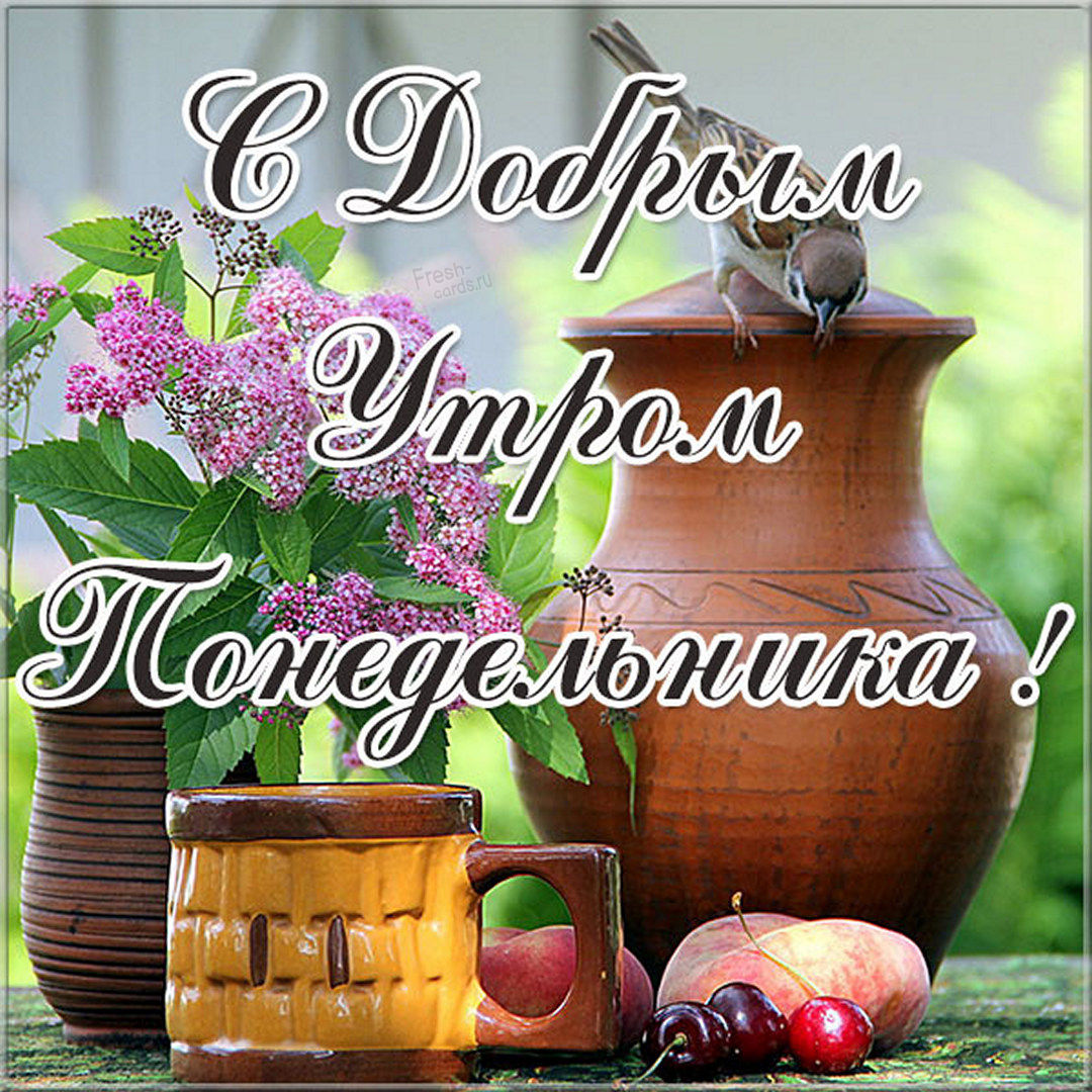 Хостинг картинок yapx.ru