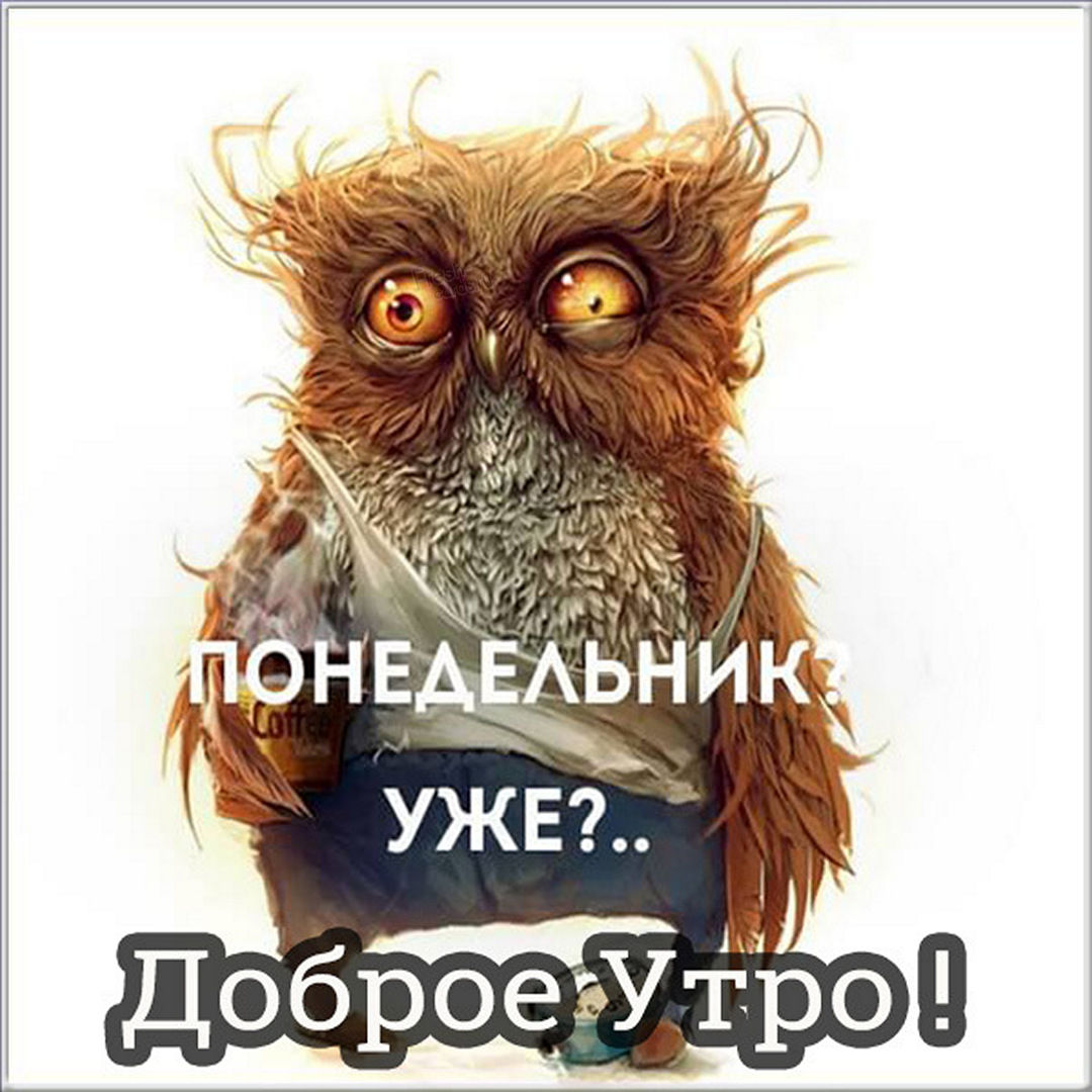 Хостинг картинок yapx.ru