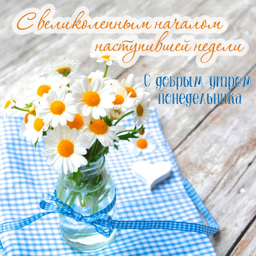 Хостинг картинок yapx.ru