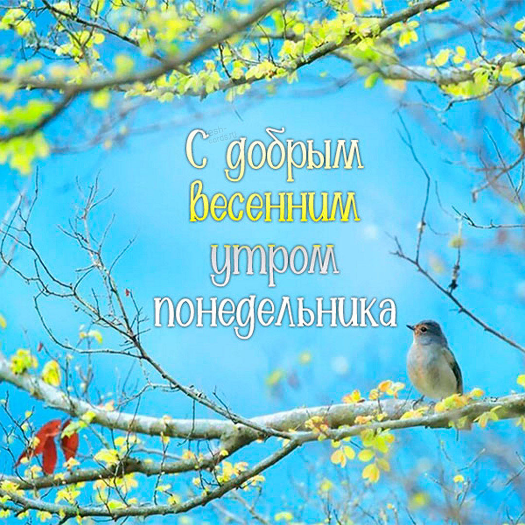 Хостинг картинок yapx.ru