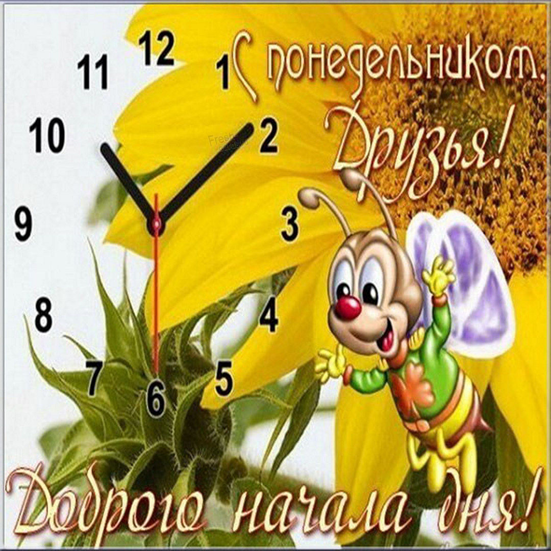 Хостинг картинок yapx.ru