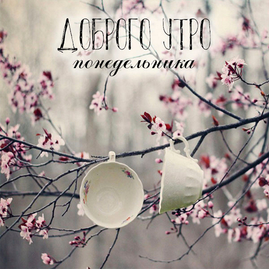 Хостинг картинок yapx.ru