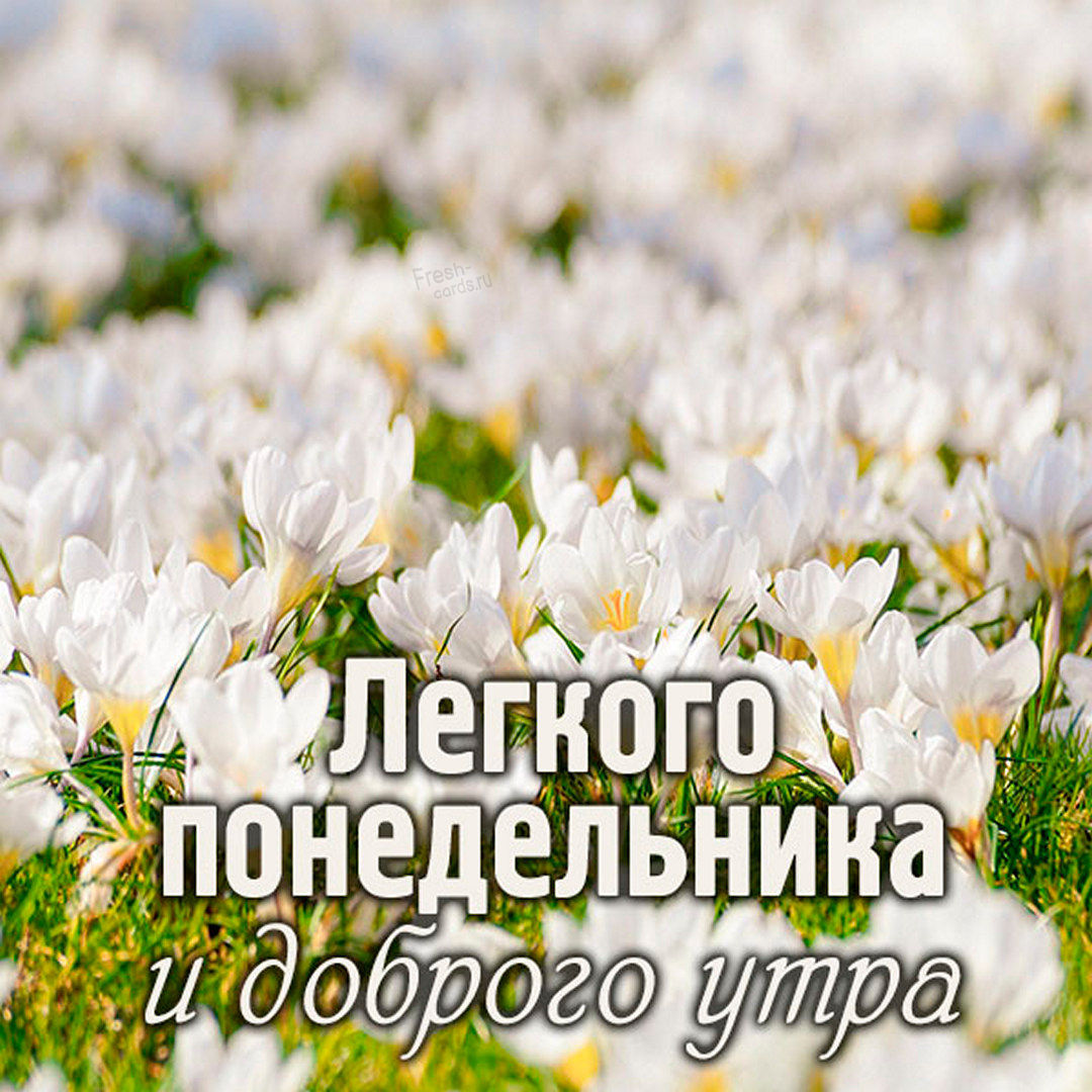 Хостинг картинок yapx.ru