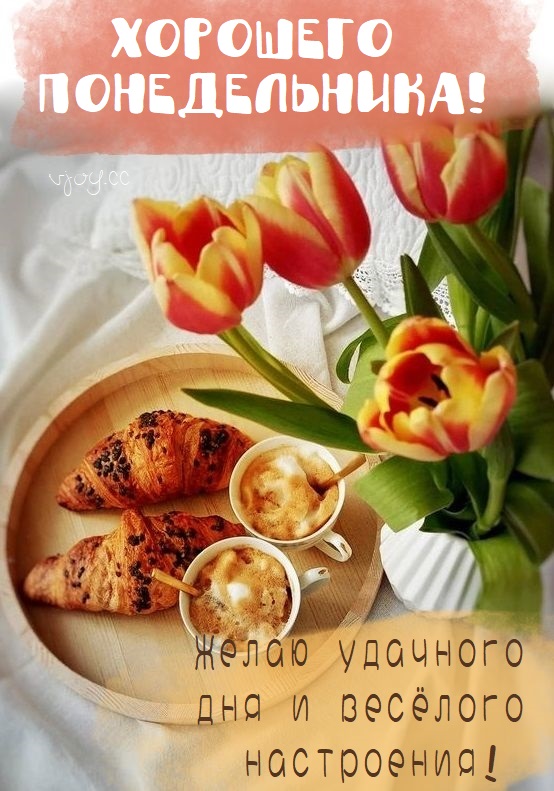 Хостинг картинок yapx.ru