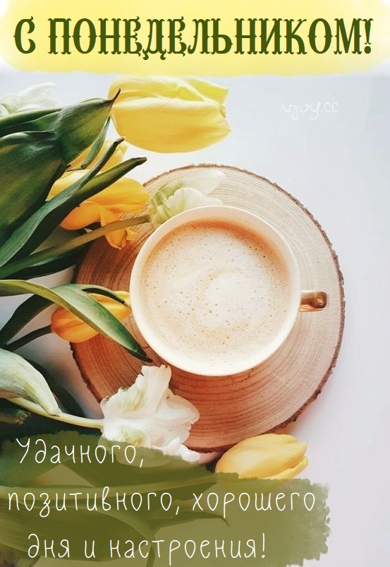 Хостинг картинок yapx.ru