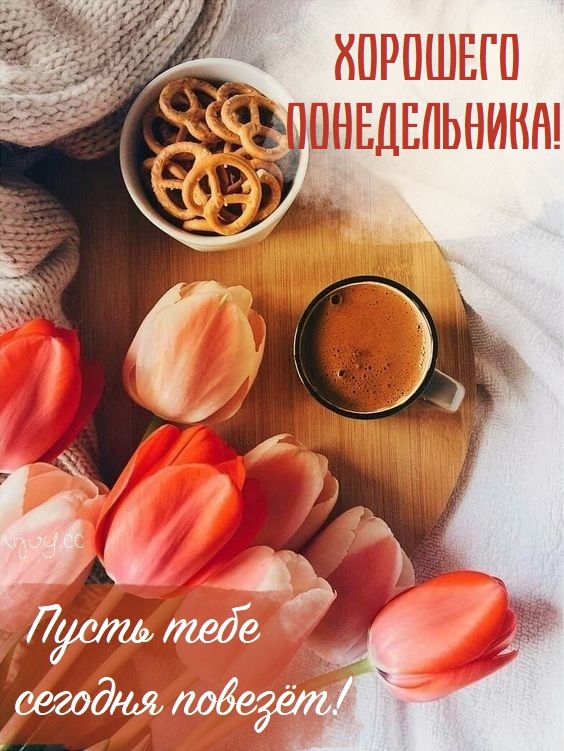 Хостинг картинок yapx.ru