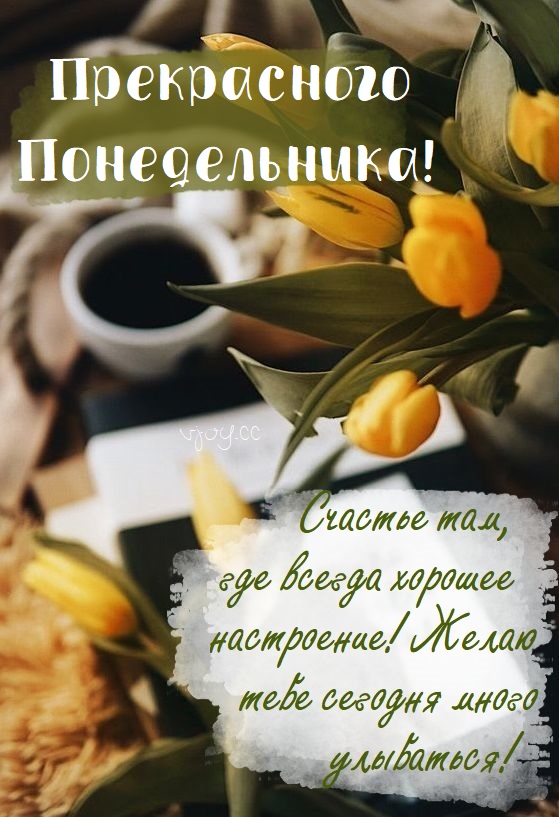 Хостинг картинок yapx.ru